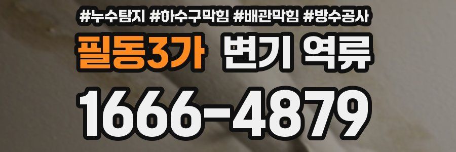 필동3가 변기 역류