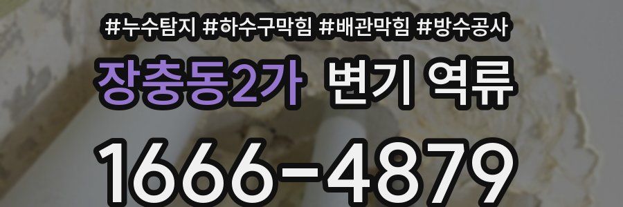 장충동2가 변기 역류