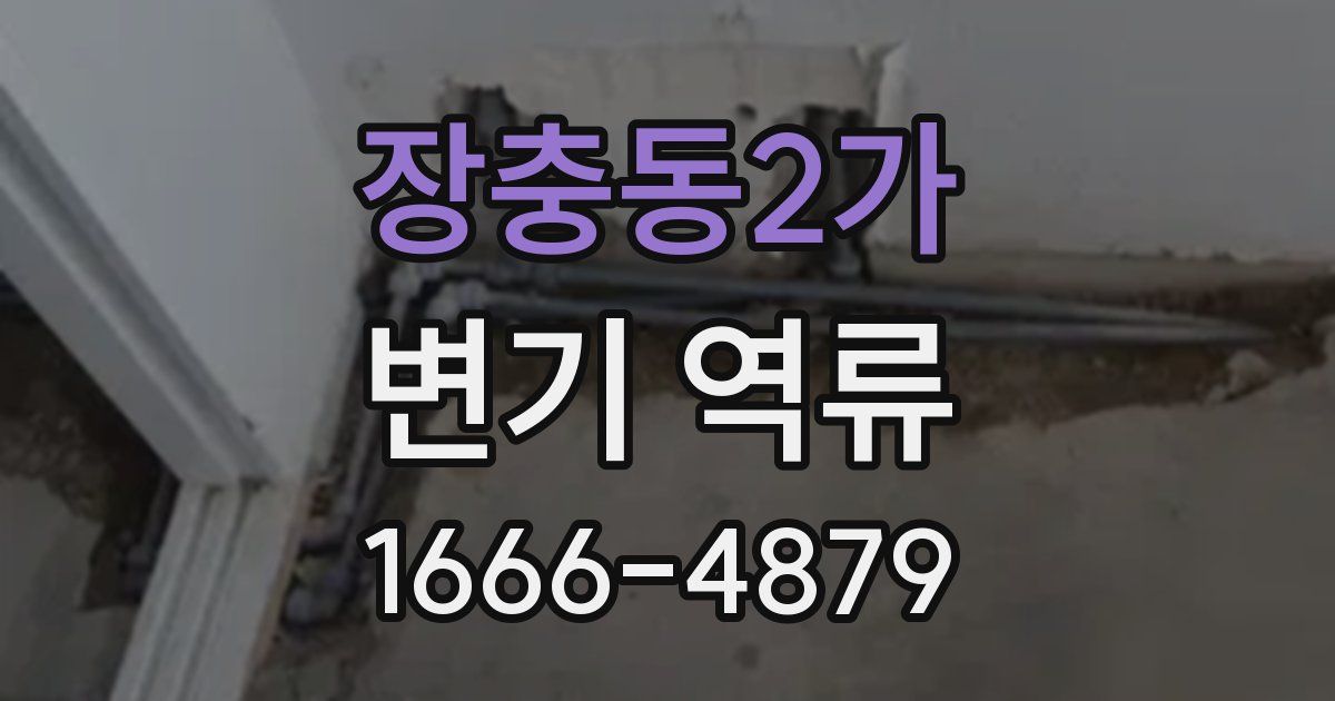 장충동2가 변기 역류