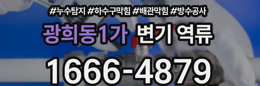 광희동1가 변기 역류