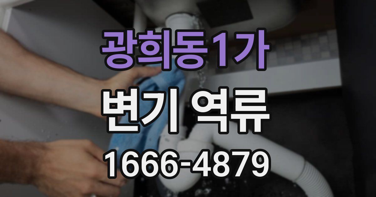 광희동1가 변기 역류
