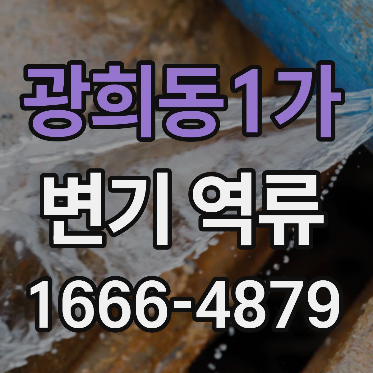 광희동1가 변기 역류