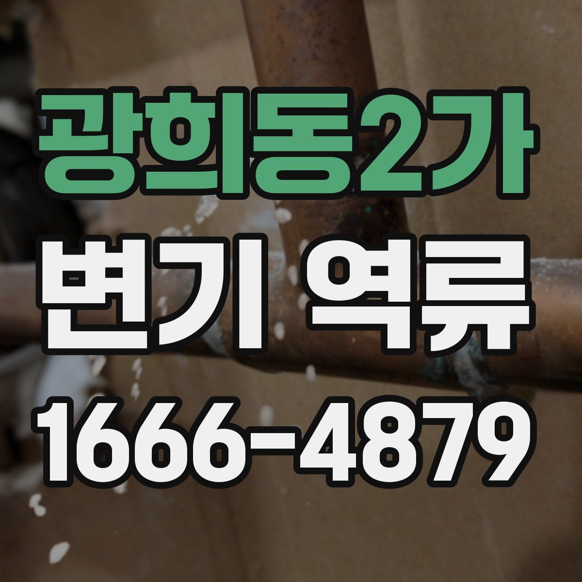 광희동2가 변기 역류