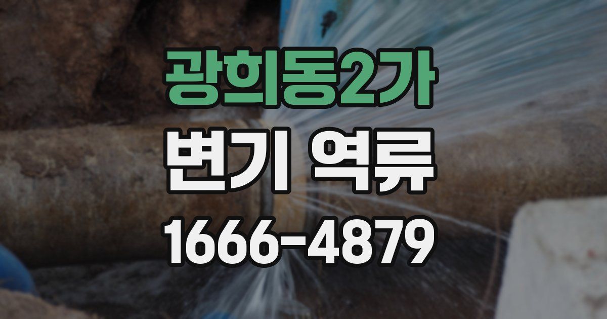 광희동2가 변기 역류
