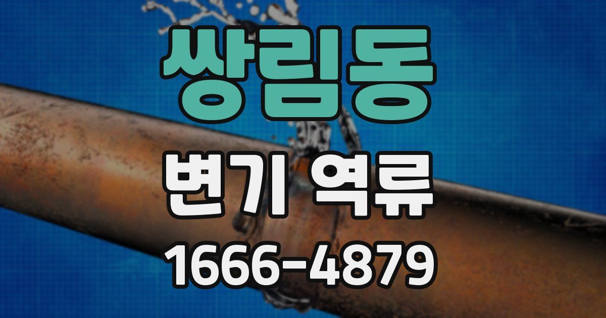 쌍림동 변기 역류