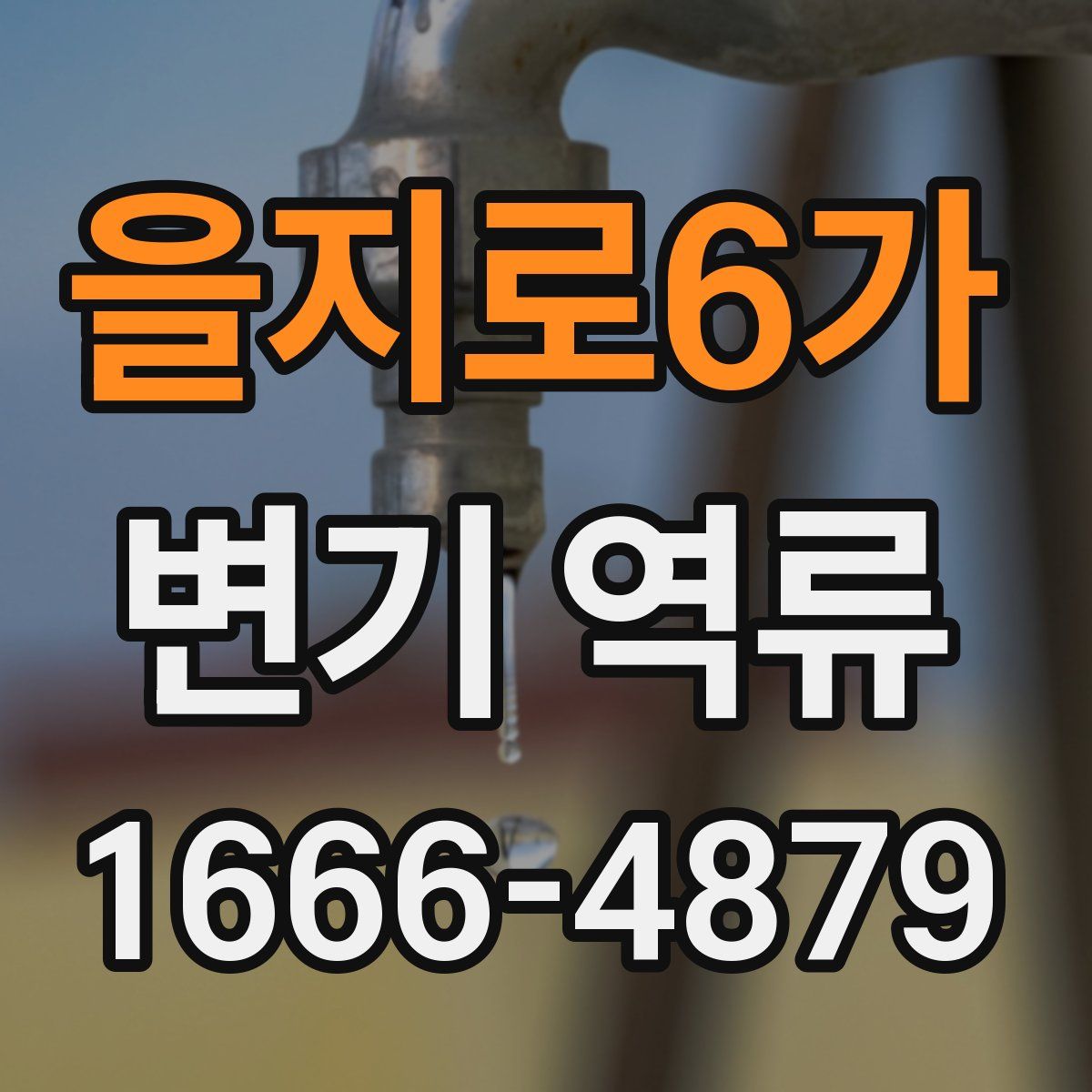 을지로6가 변기 역류