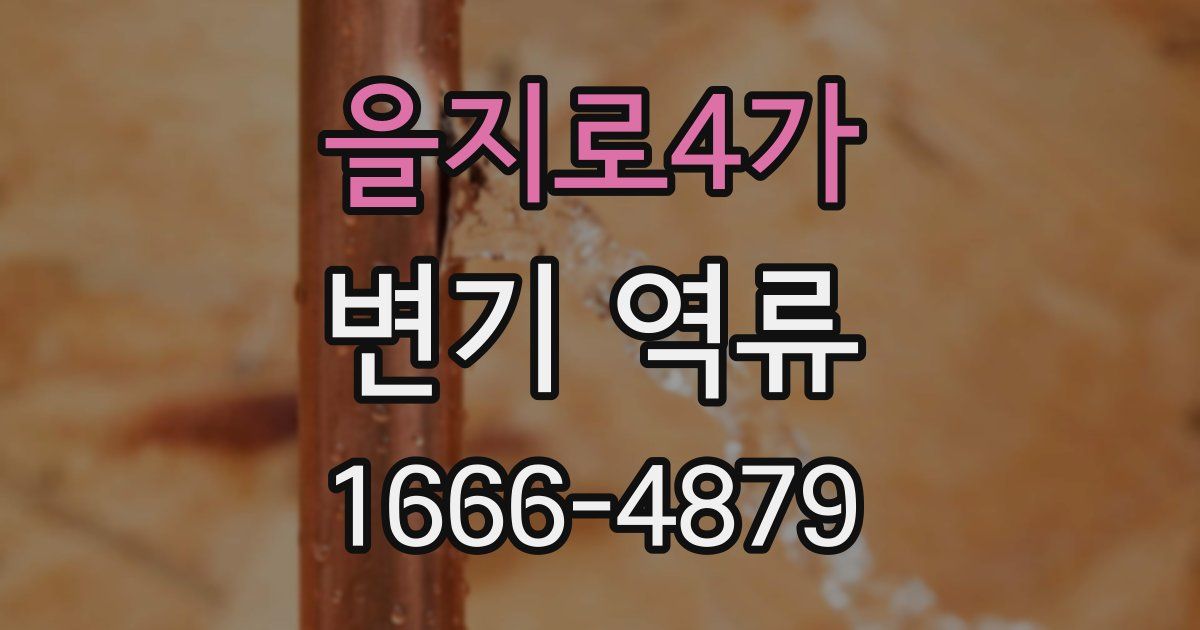 을지로4가 변기 역류