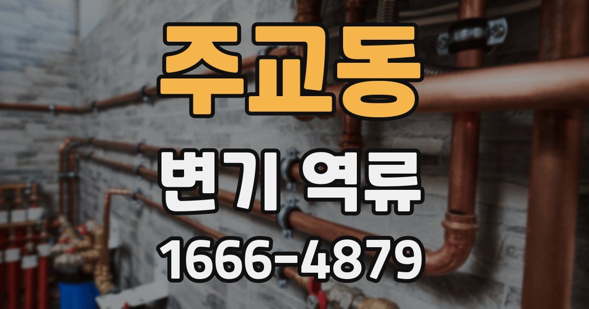 주교동 변기 역류