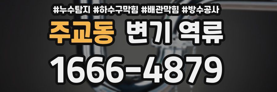 주교동 변기 역류