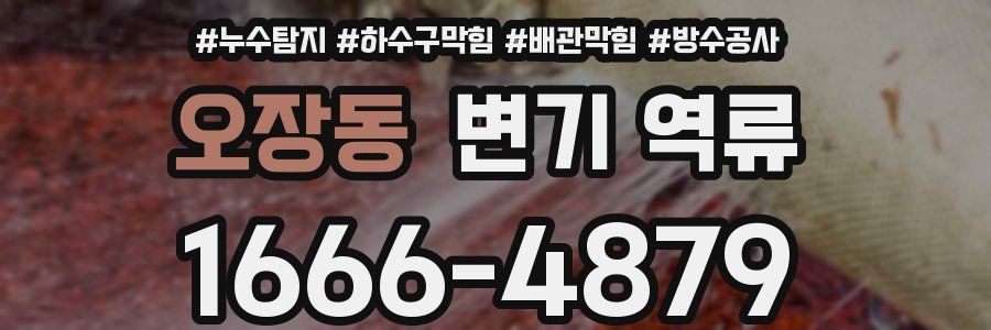 오장동 변기 역류