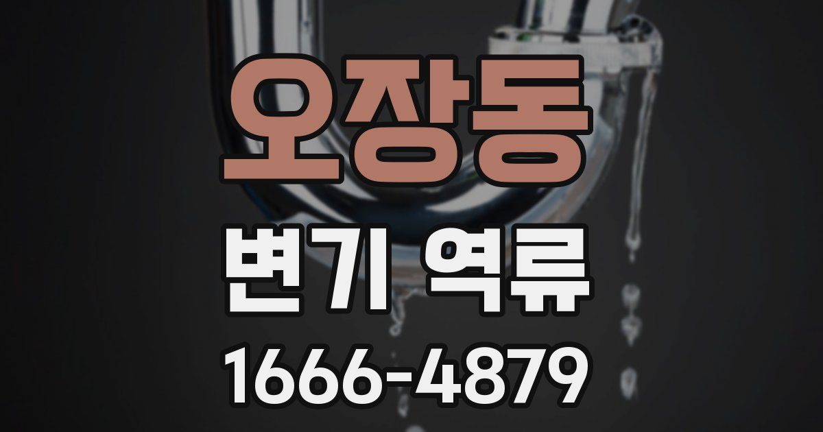 오장동 변기 역류