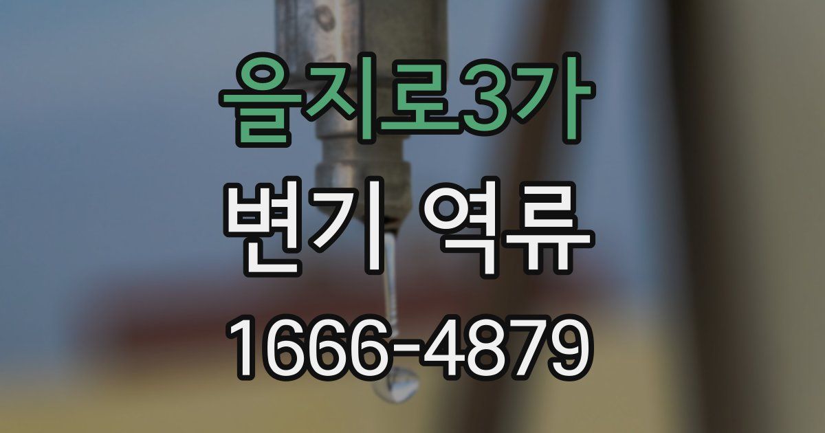 을지로3가 변기 역류