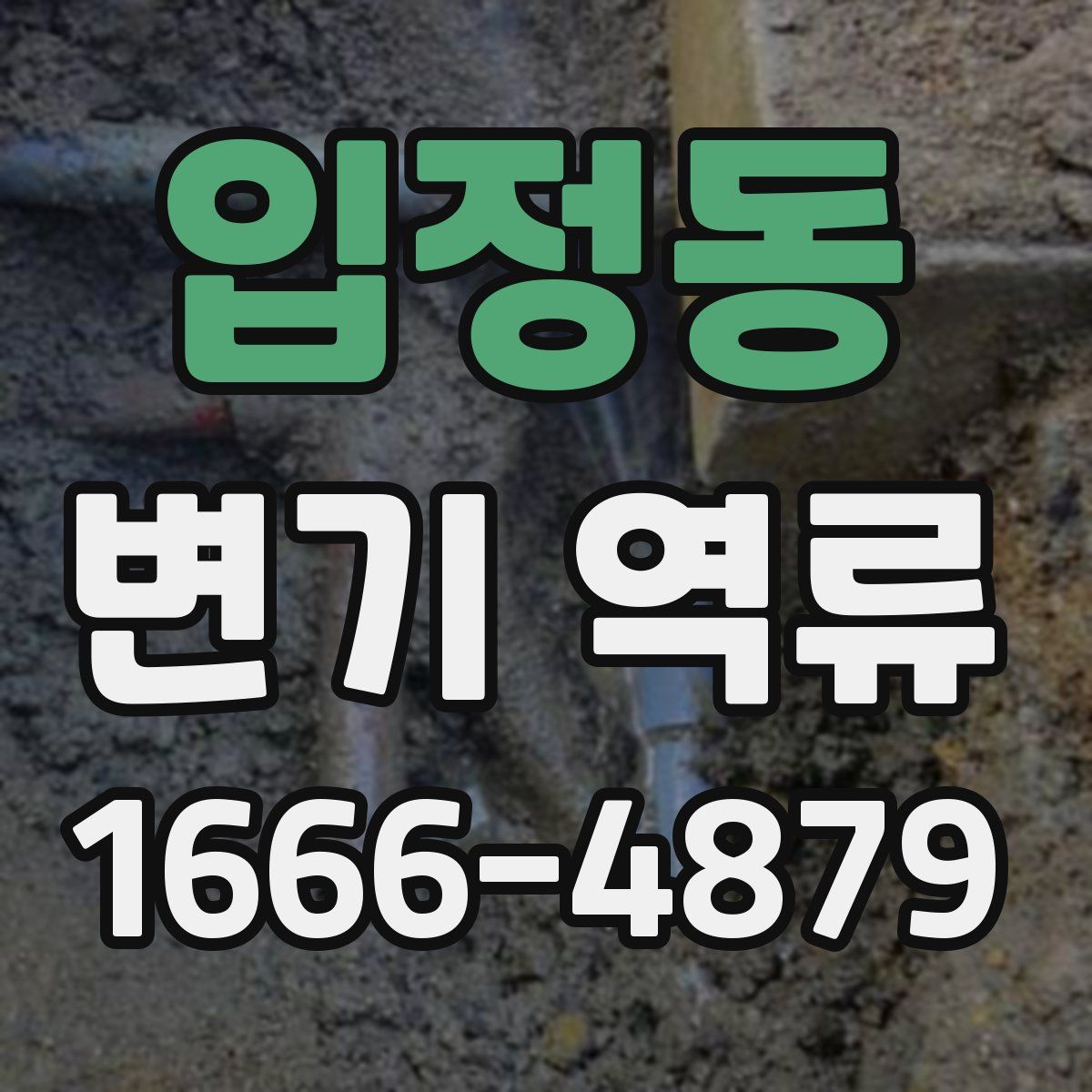 입정동 변기 역류