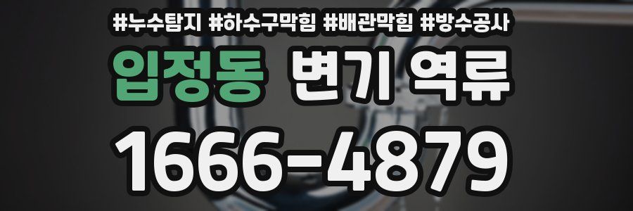 입정동 변기 역류