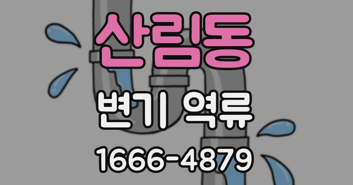 산림동 변기 역류