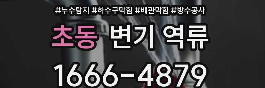 초동 변기 역류