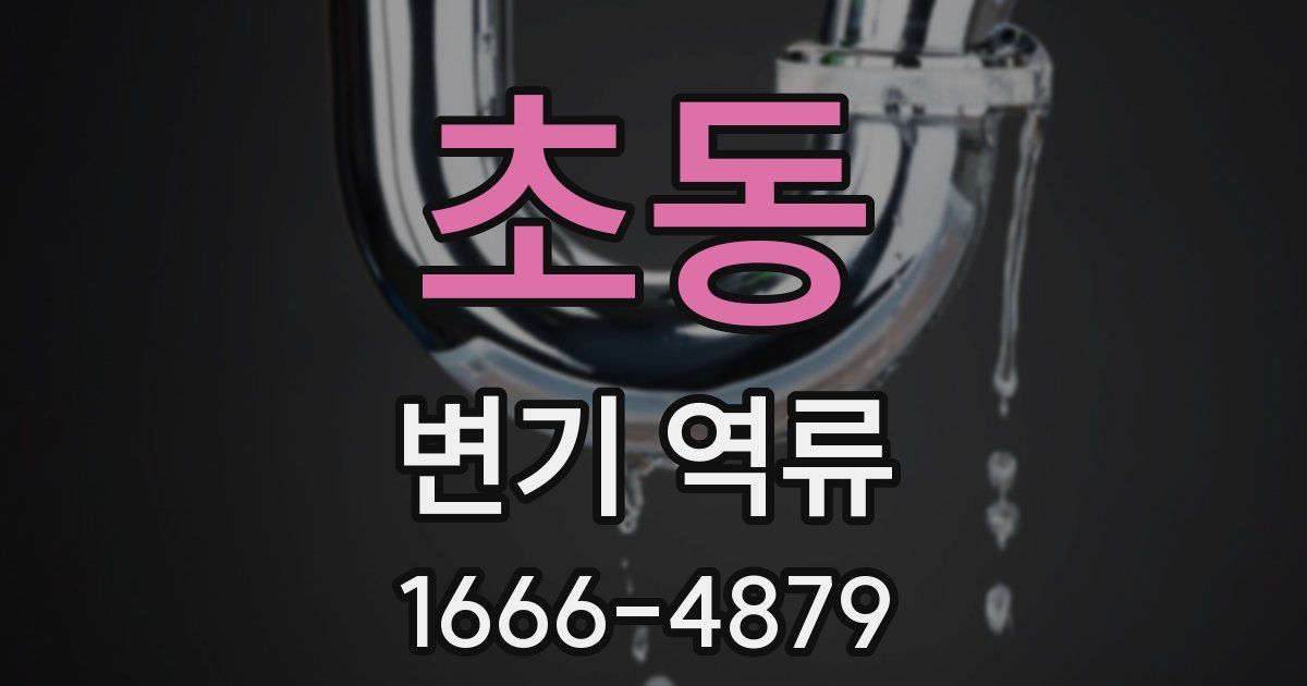초동 변기 역류