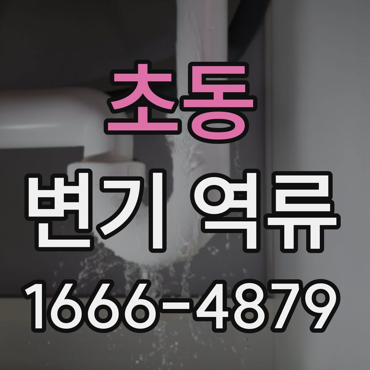 초동 변기 역류