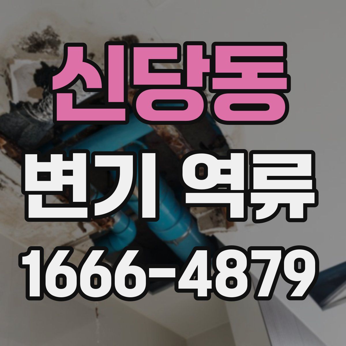 신당동 변기 역류