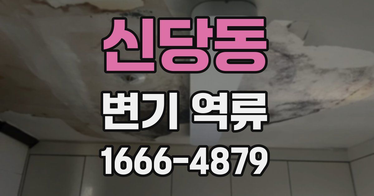 신당동 변기 역류
