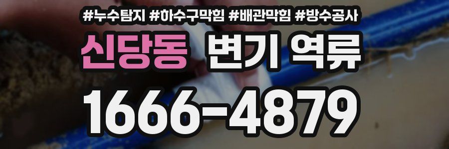 신당동 변기 역류