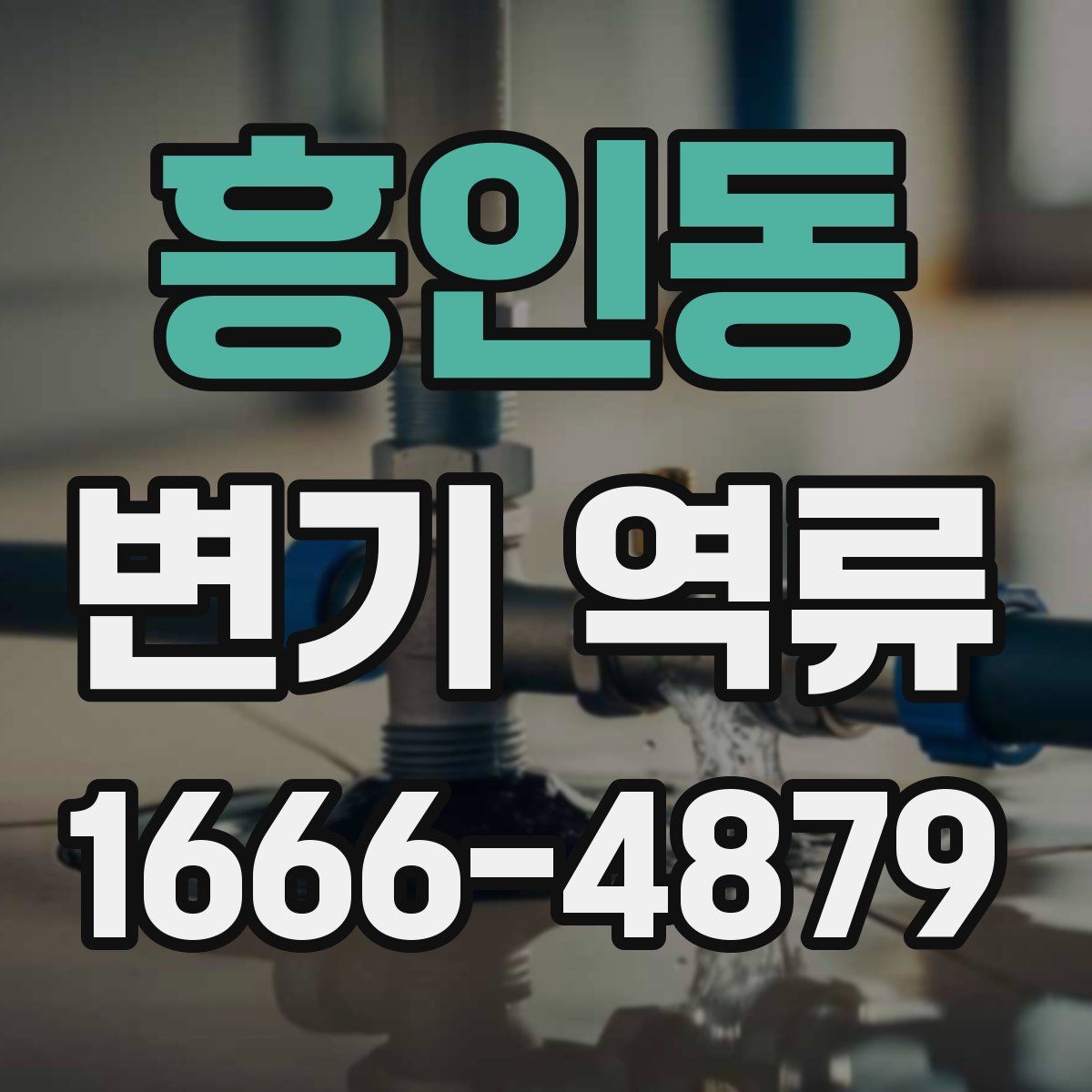 흥인동 변기 역류