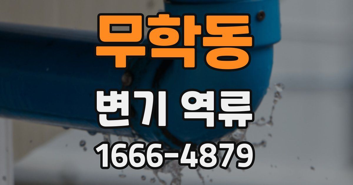 무학동 변기 역류