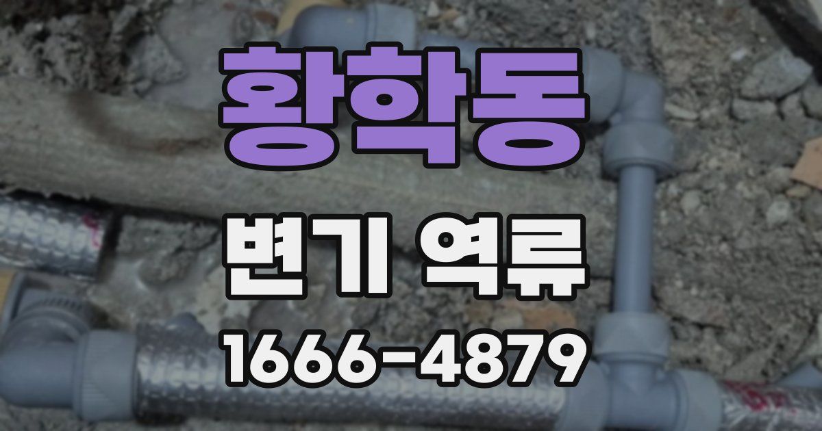 황학동 변기 역류