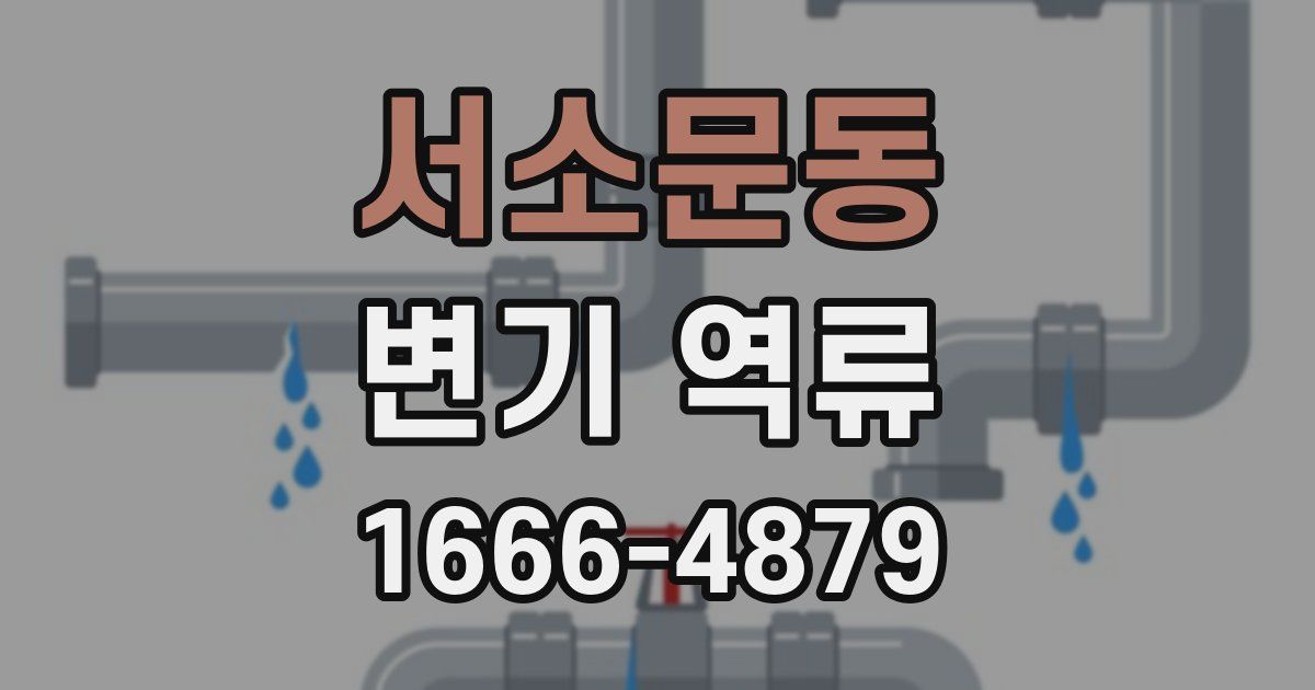 서소문동 변기 역류