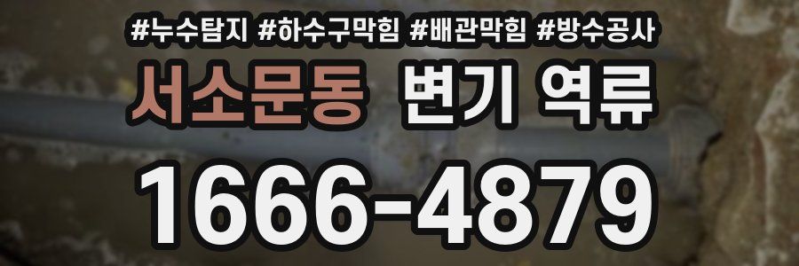 서소문동 변기 역류