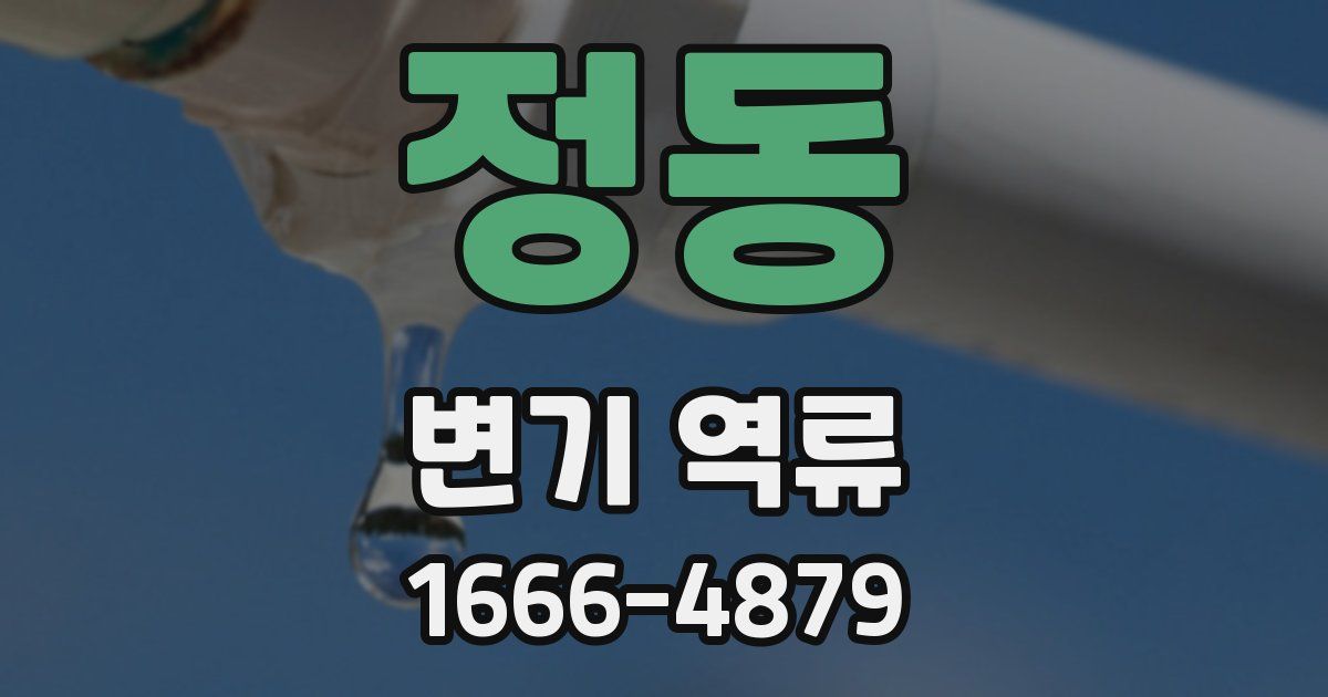정동 변기 역류