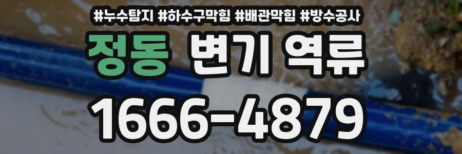 정동 변기 역류