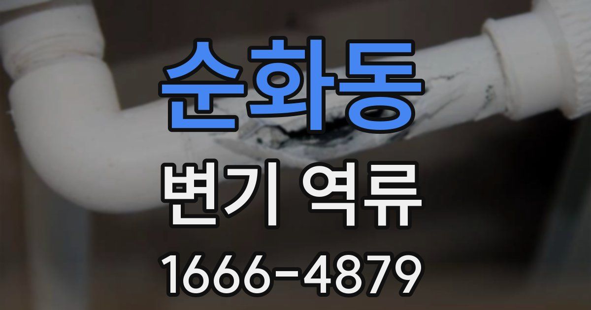 순화동 변기 역류