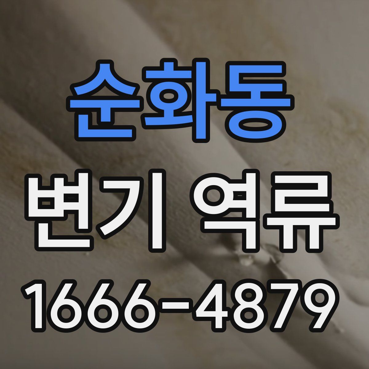 순화동 변기 역류