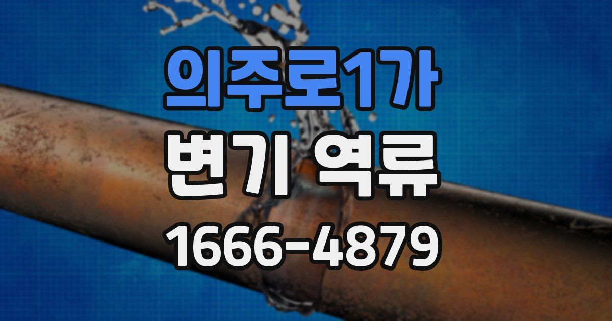 의주로1가 변기 역류