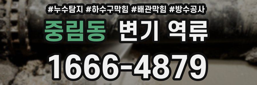 중림동 변기 역류
