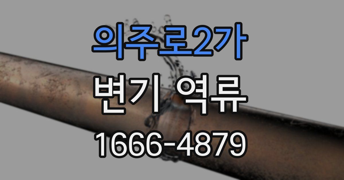 의주로2가 변기 역류