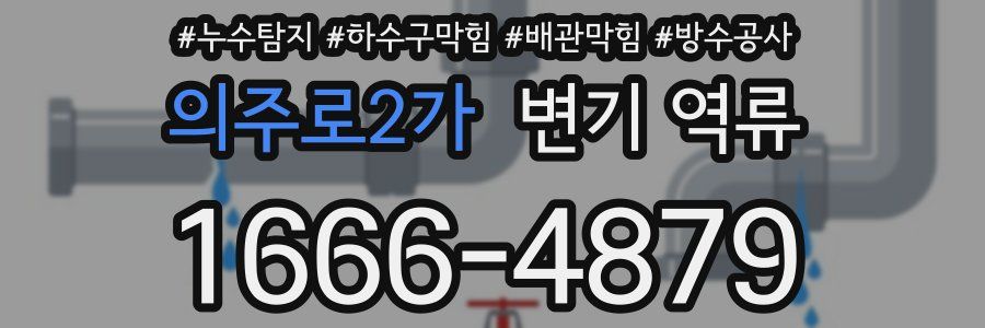 의주로2가 변기 역류