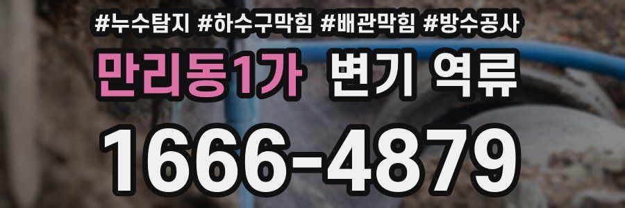 만리동1가 변기 역류