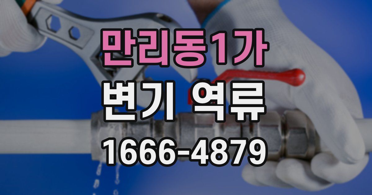 만리동1가 변기 역류