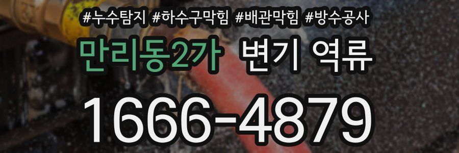 만리동2가 변기 역류
