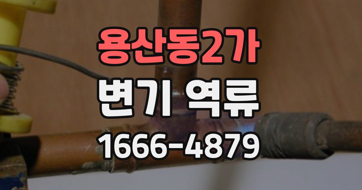 용산동2가 변기 역류