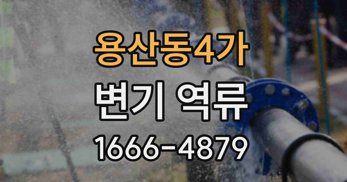 용산동4가 변기 역류