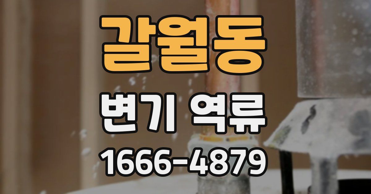 갈월동 변기 역류