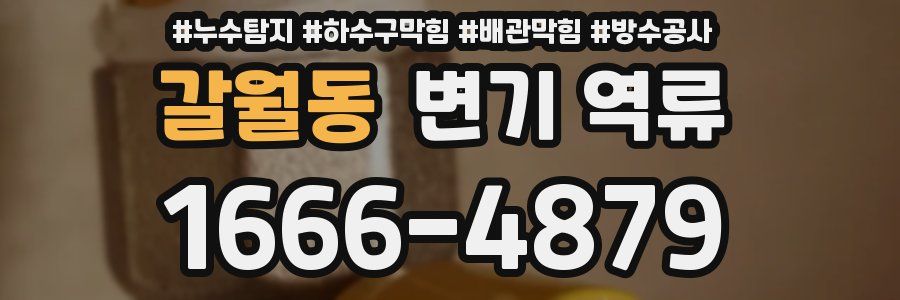 갈월동 변기 역류