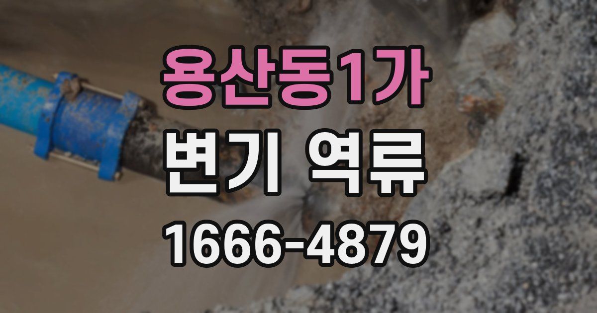 용산동1가 변기 역류