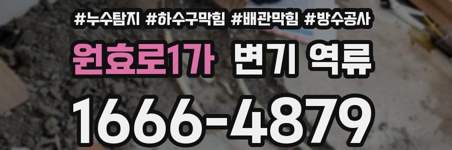 원효로1가 변기 역류