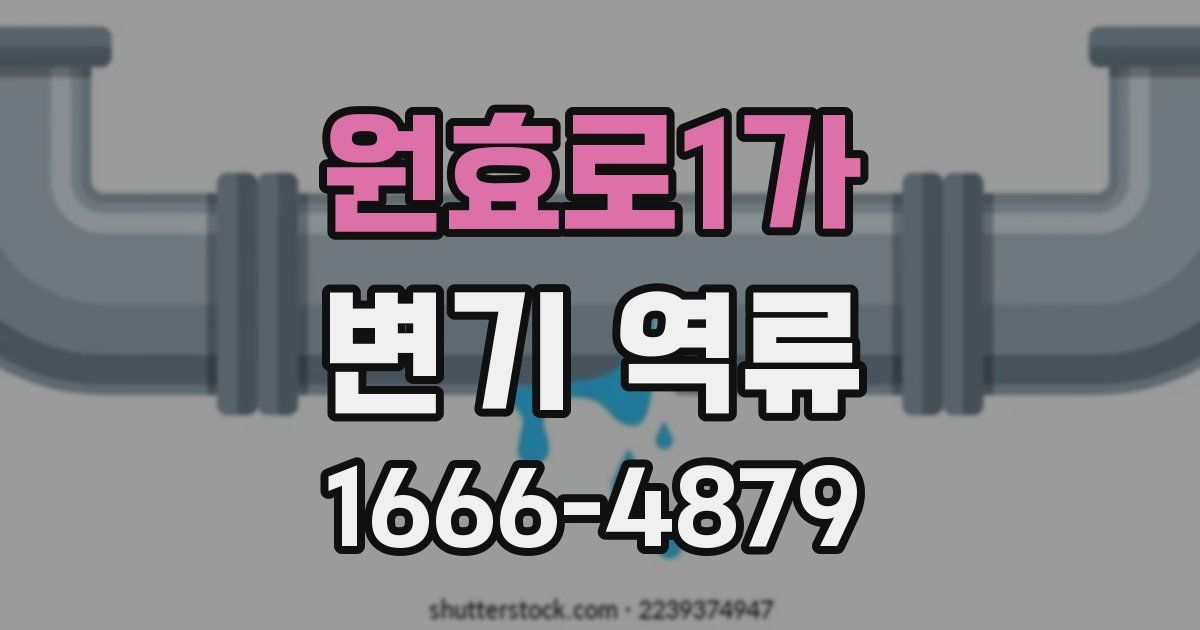원효로1가 변기 역류