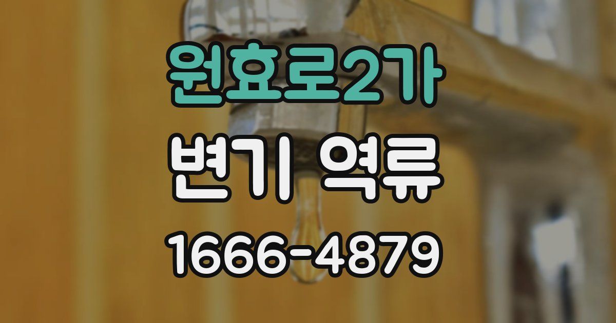 원효로2가 변기 역류