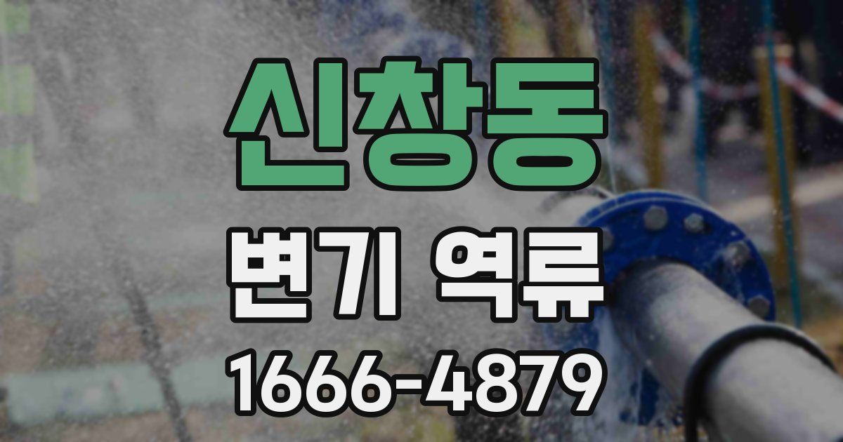신창동 변기 역류